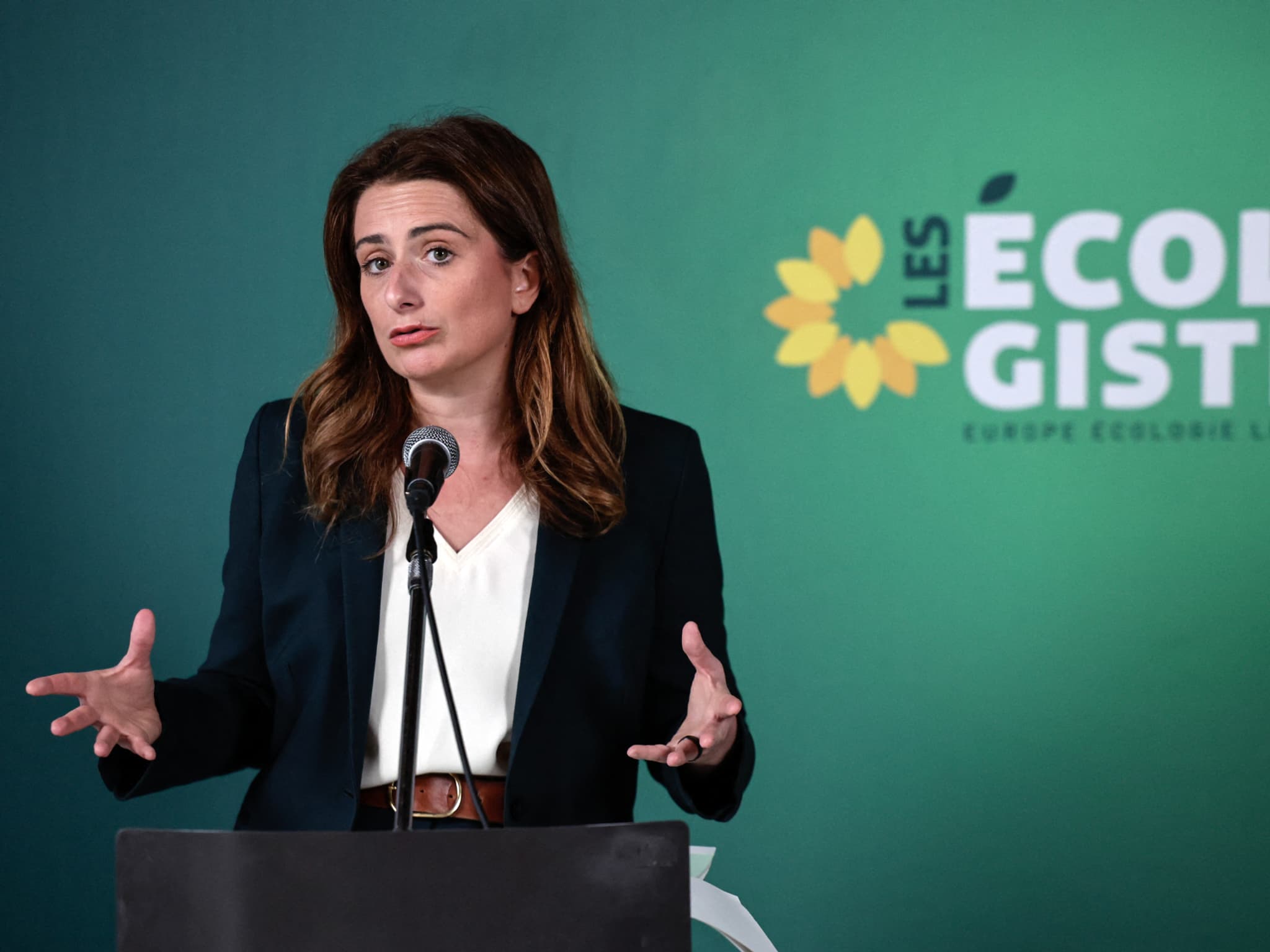 Marine Tondelier, Secrétaire générale de 'Les écologistes